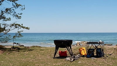 BBQ
